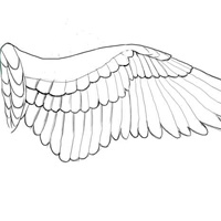 200x200 How To Make Angel Wings - Angel Wings Drawing