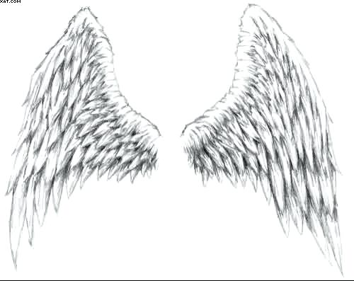 500x397 Angel Wings Drawing Wing Drawings Step - Angel Wings Drawing