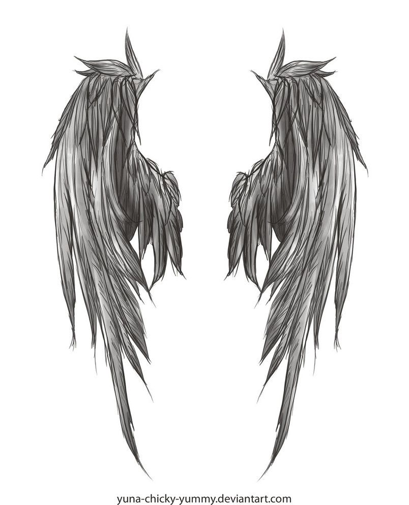 804x993 angel wing drawing i found in i'll probably get this - Angel Wings Drawing