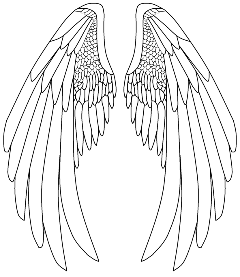 Wefalling How To Draw Closed Angel Wings