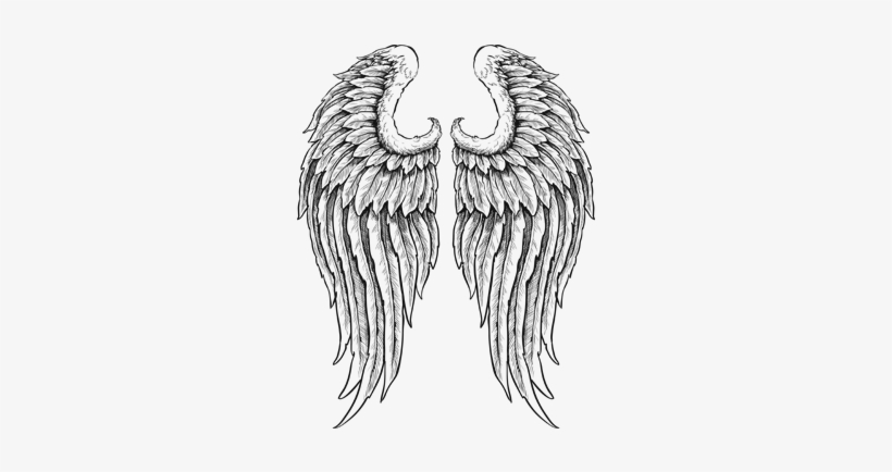 Angel Wings Drawing Outline at PaintingValley.com | Explore collection