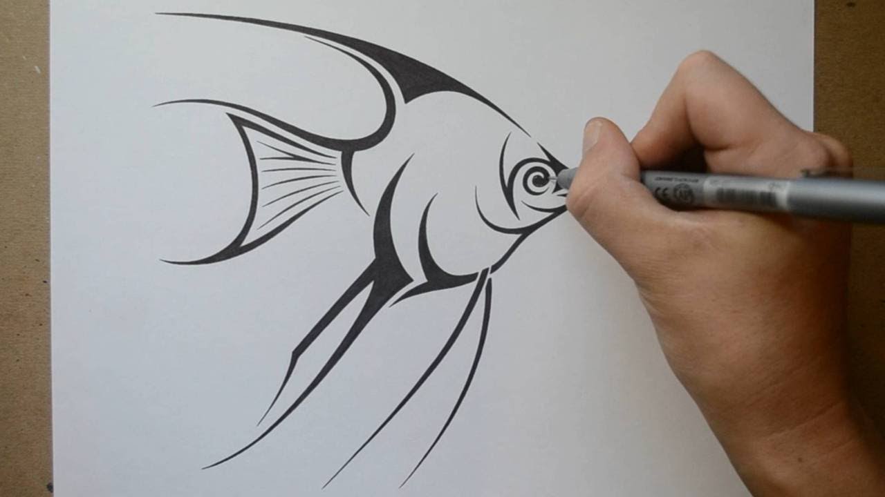 1280x720 How To Draw An Angelfish - Angelfish Drawing