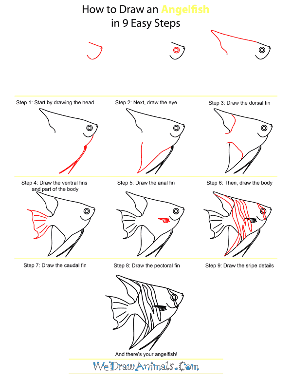 600x776 How To Draw An Angelfish - Angelfish Drawing