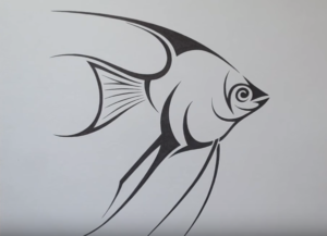 300x217 How To Draw An Angelfish Step - Angelfish Drawing
