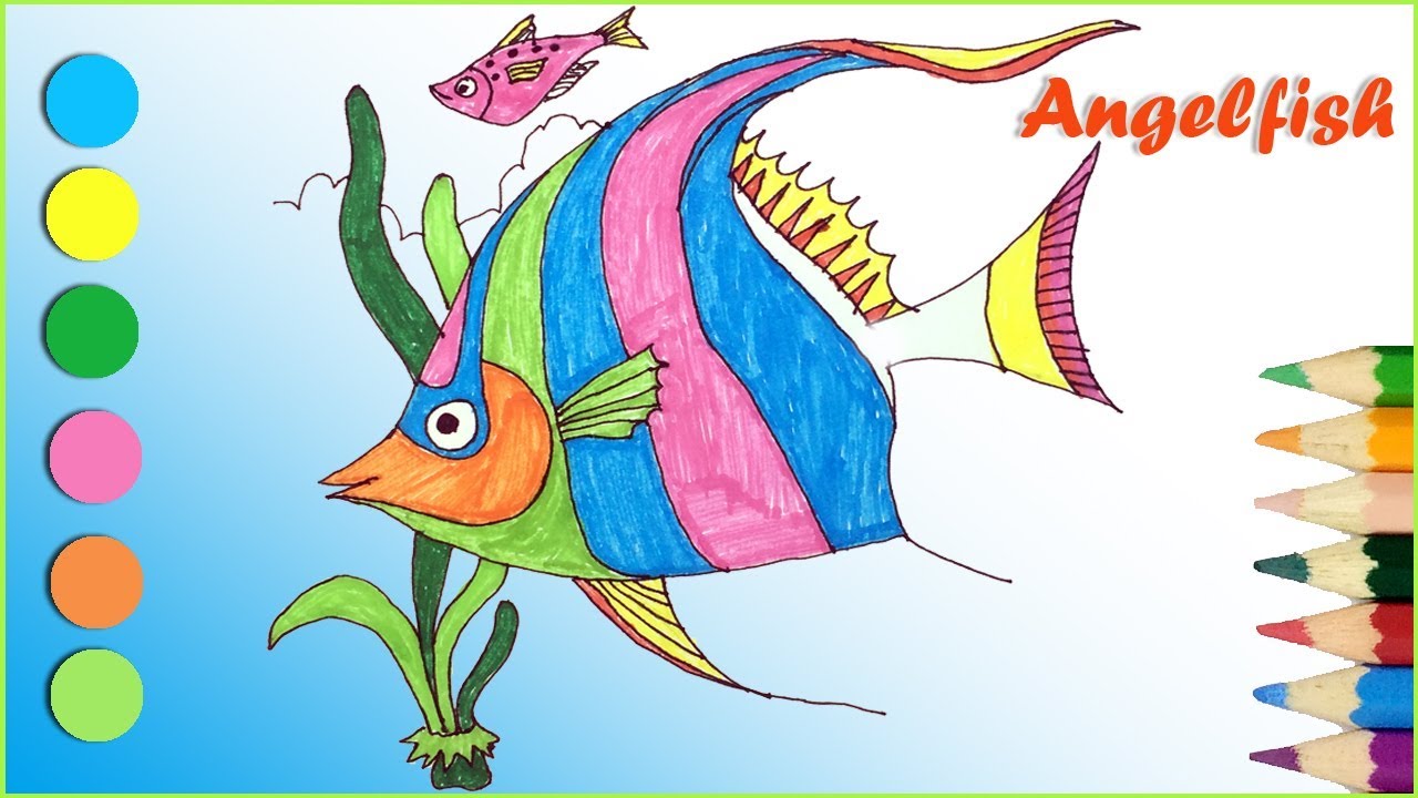 1280x720 How To Draw And Coloring An Angelfish Drawing And Coloring Pages - Angelfish Drawing