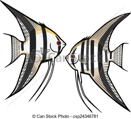 450x411 two angelfish vector illustration two kinds of freshwater - Angelfish Drawing