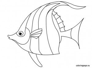 300x222 angelfish tropical fish glass paint fish bowl fish coloring - Angelfish Drawing
