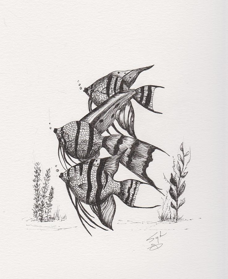 738x900 Angel Fish Drawing - Angelfish Drawing