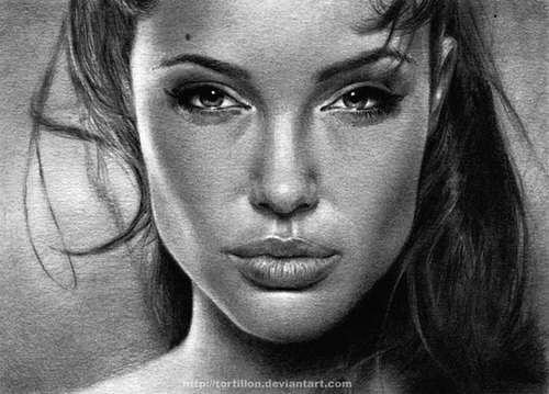 500x359 Angelina Jolie Drawing - Angelina Jolie Drawing