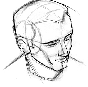 300x296 how to draw the head from extreme angles proko - Angle Drawing