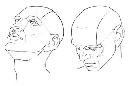 451x300 how to draw the head from any angle - Angle Drawing