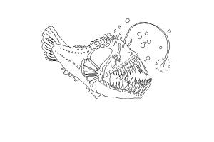 300x200 anglerfish - Angler Fish Drawing