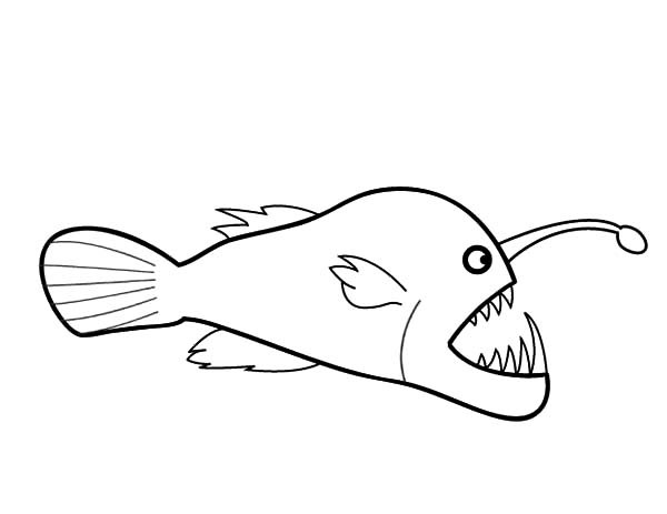 600x463 anglerfish art drawing skill - Angler Fish Drawing