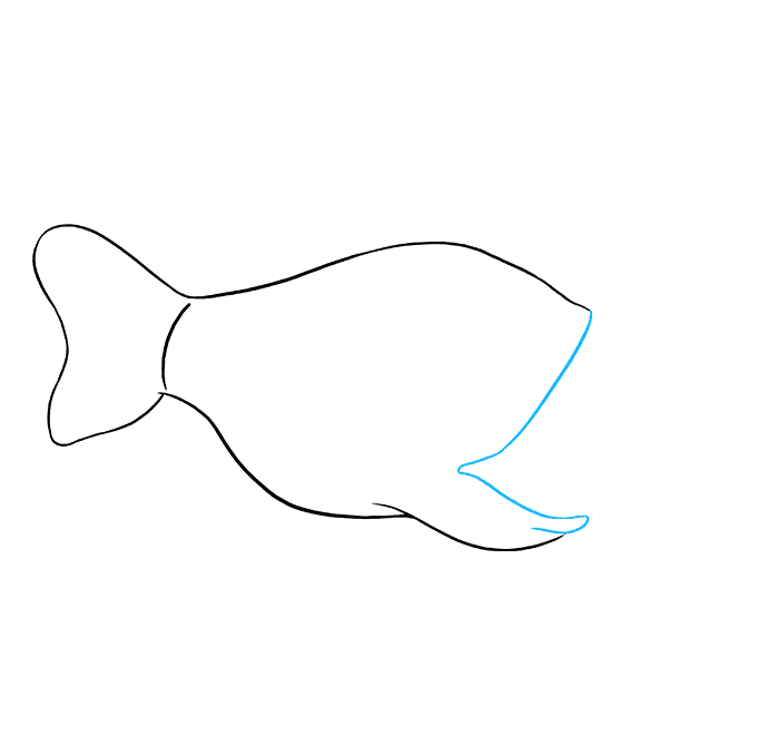 680x678 how to draw an angler fish - Angler Fish Drawing