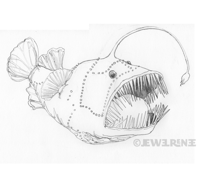 720x576 angler fish drawing affordable saatchi art artist lynnette - Anglerfish Drawing