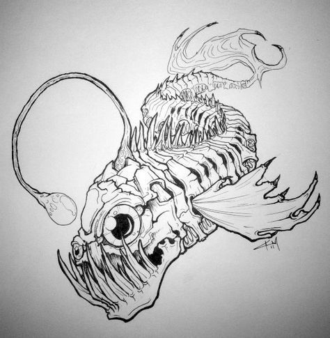 474x485 anglerfish drawing drawing skill - Anglerfish Drawing