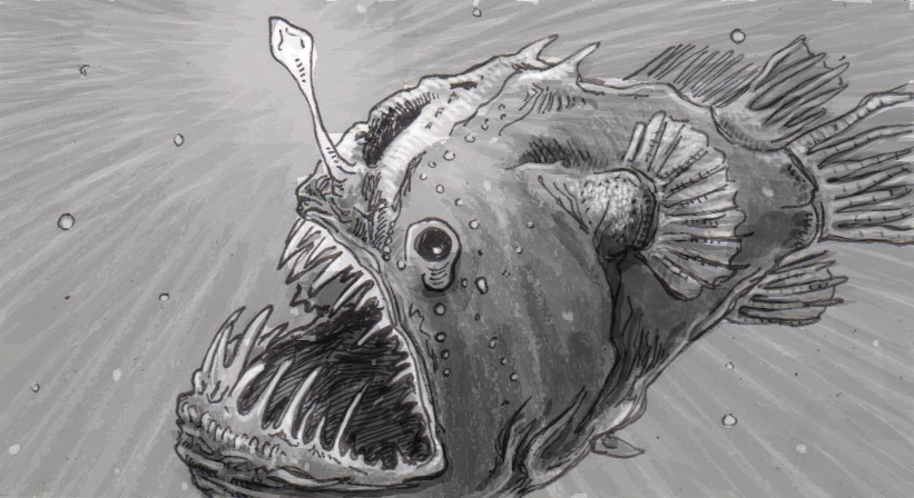 821x448 anglerfish drawing - Anglerfish Drawing