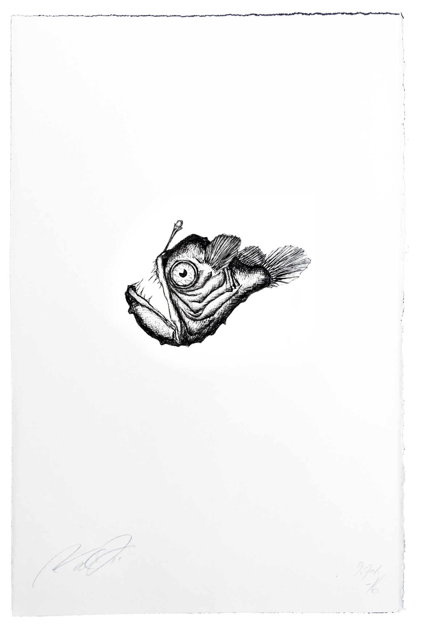 1366x2048 anglerfish drawing ink huge freebie! download for powerpoint - Anglerfish Drawing