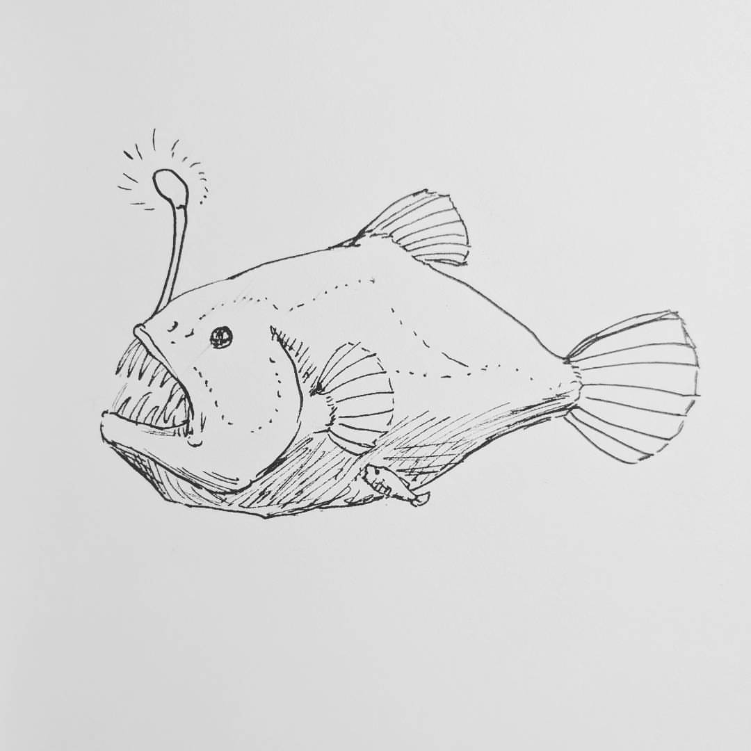 1080x1080 asaeya's art and stuff - Anglerfish Drawing