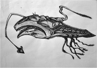 Anglerfish Drawing at PaintingValley.com | Explore collection of ...