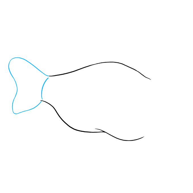 680x678 how to draw an angler fish - Anglerfish Drawing