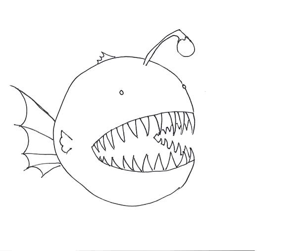 600x507 huge collection of 'anglerfish drawing' download more than - Anglerfish Drawing