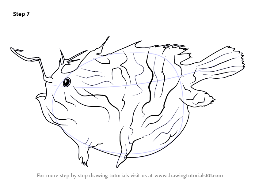 845x598 learn how to draw an anglerfish - Anglerfish Drawing