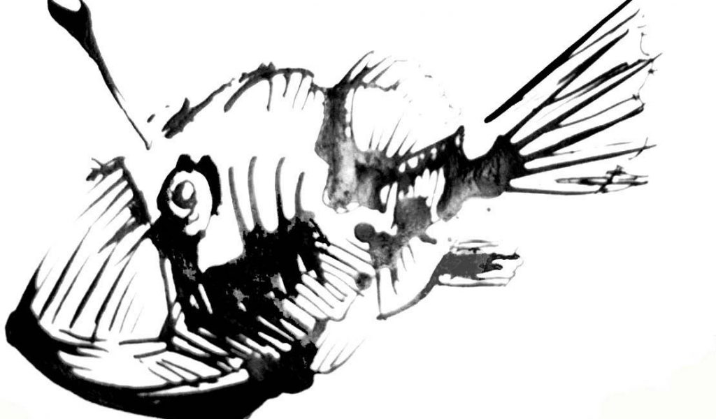 1024x600 angler fish coloring pages with and fishm drawing google search - Anglerfish Drawing