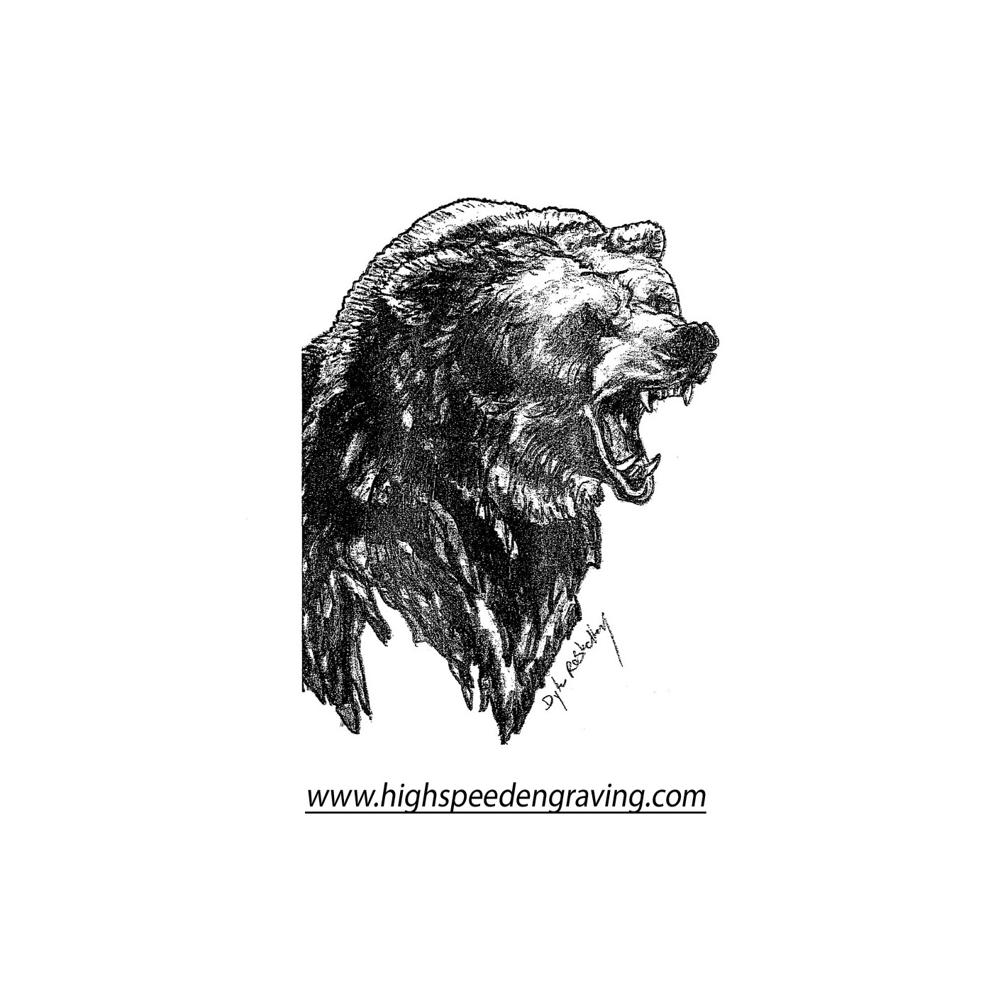 1400x1400 Angry Bear - Angry Bear Drawing