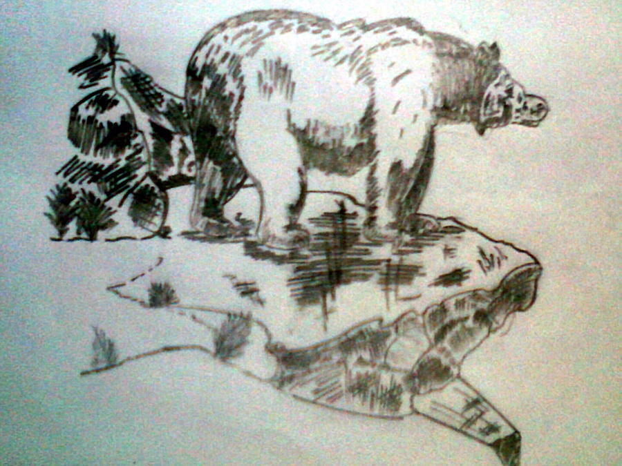 900x675 Angry Bear Drawing - Angry Bear Drawing