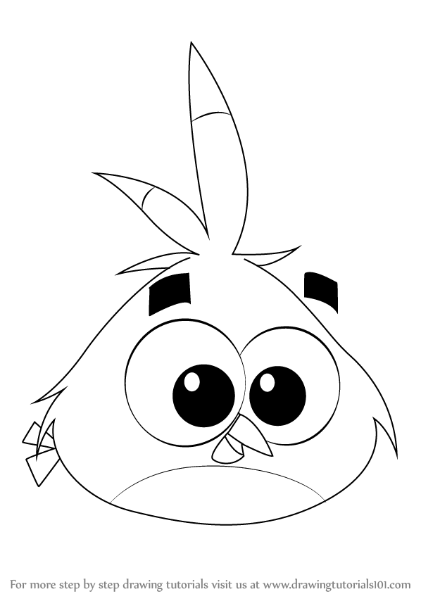 598x844 Learn How To Draw Luca From Angry Birds - Angry Bird Drawing Step By Step