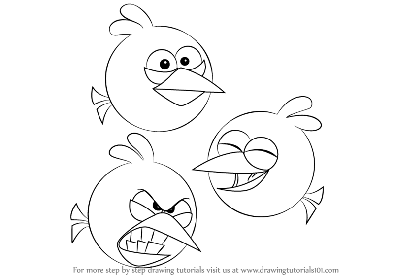 800x564 learn how to draw the blues from angry birds - Angry Birds Drawing Pictures