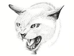 257x196 bildergebnis line drawing cat arching or hissing s - Angry Cat Drawing