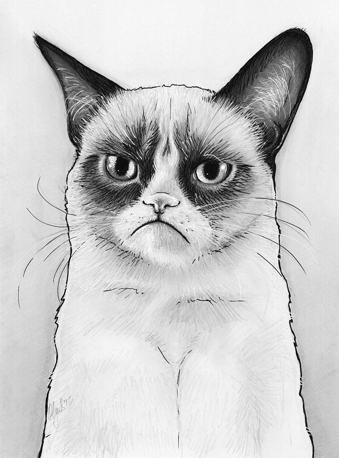 Angry Cat Drawing at PaintingValley.com | Explore collection of Angry