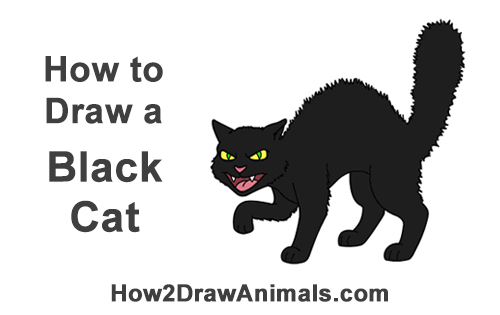 500x315 How To Draw A Black Cat - Angry Cat Drawing