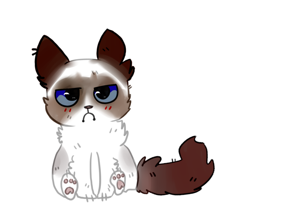 1024x768 Mad Cat Bath Banner Transparent Download - Angry Cat Drawing