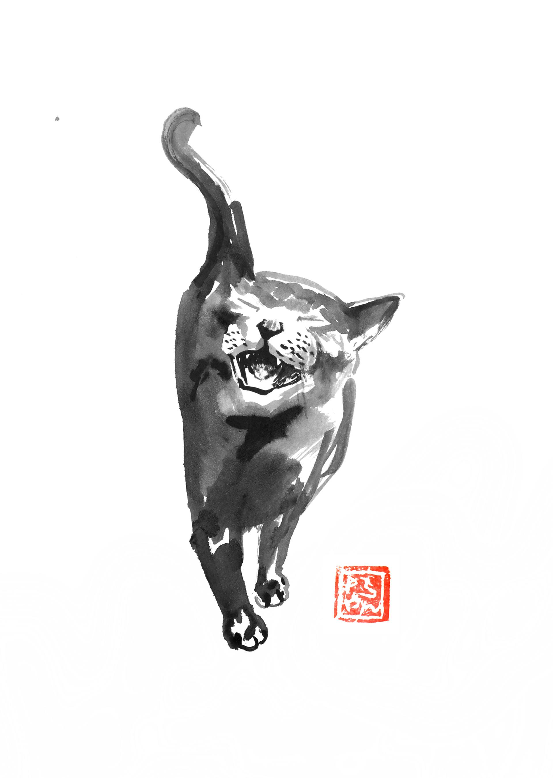 1920x2699 Angry Cat Drawing - Angry Cat Drawing
