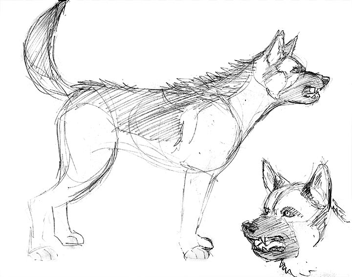 720x567 Paradigm Shift - Angry Dog Drawing