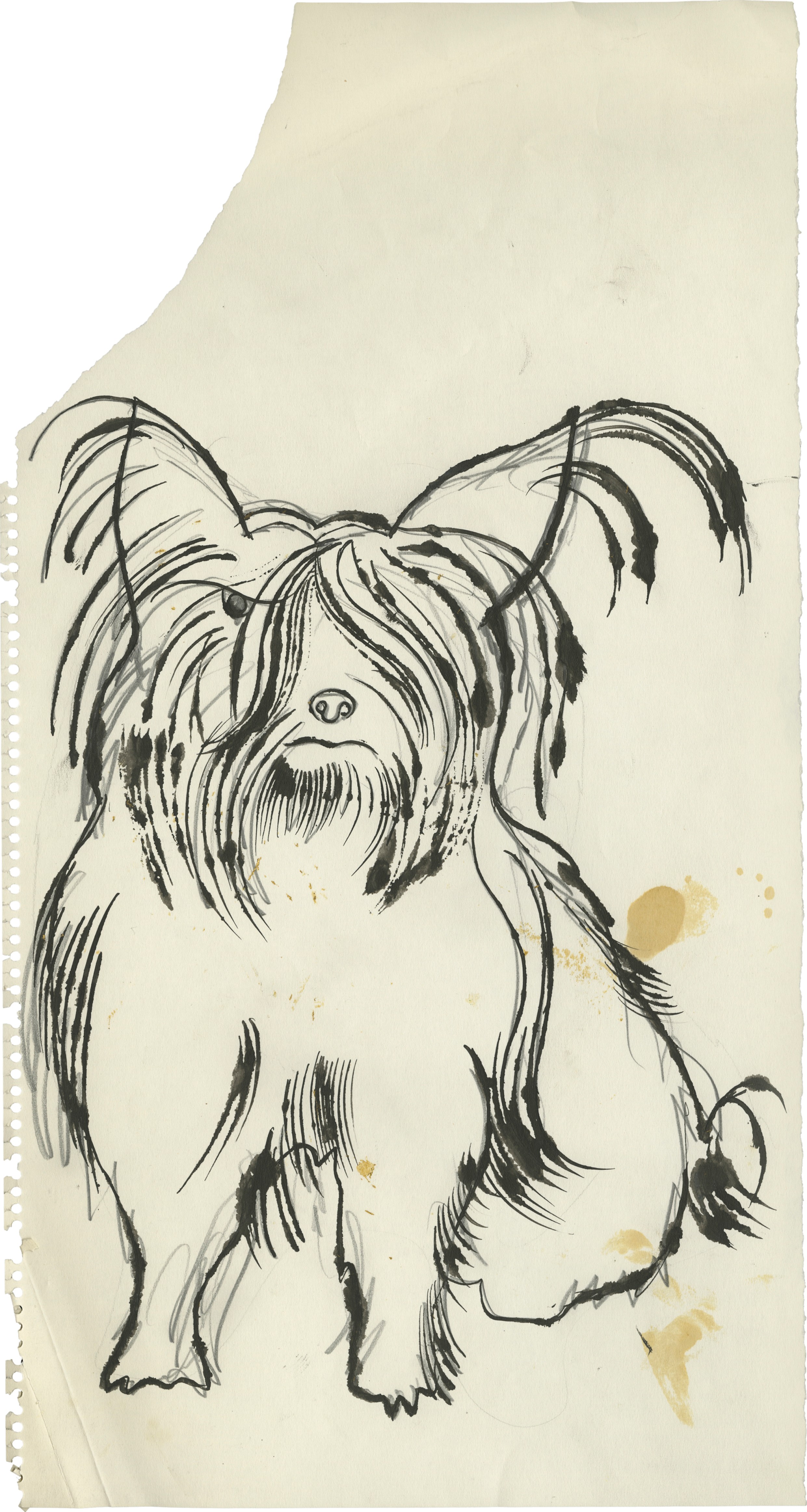 2482x4653 Andy Warhol Angry Dog Art Basel - Angry Dog Drawing