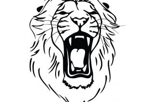 300x210 angry lion face sketch - Angry Lion Drawing