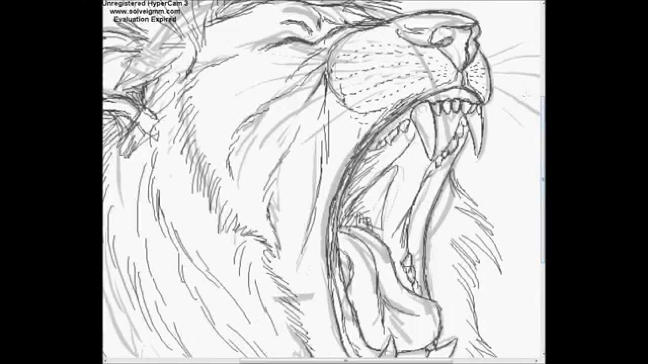 1280x720 Drawing A Lion - Angry Lion Drawing