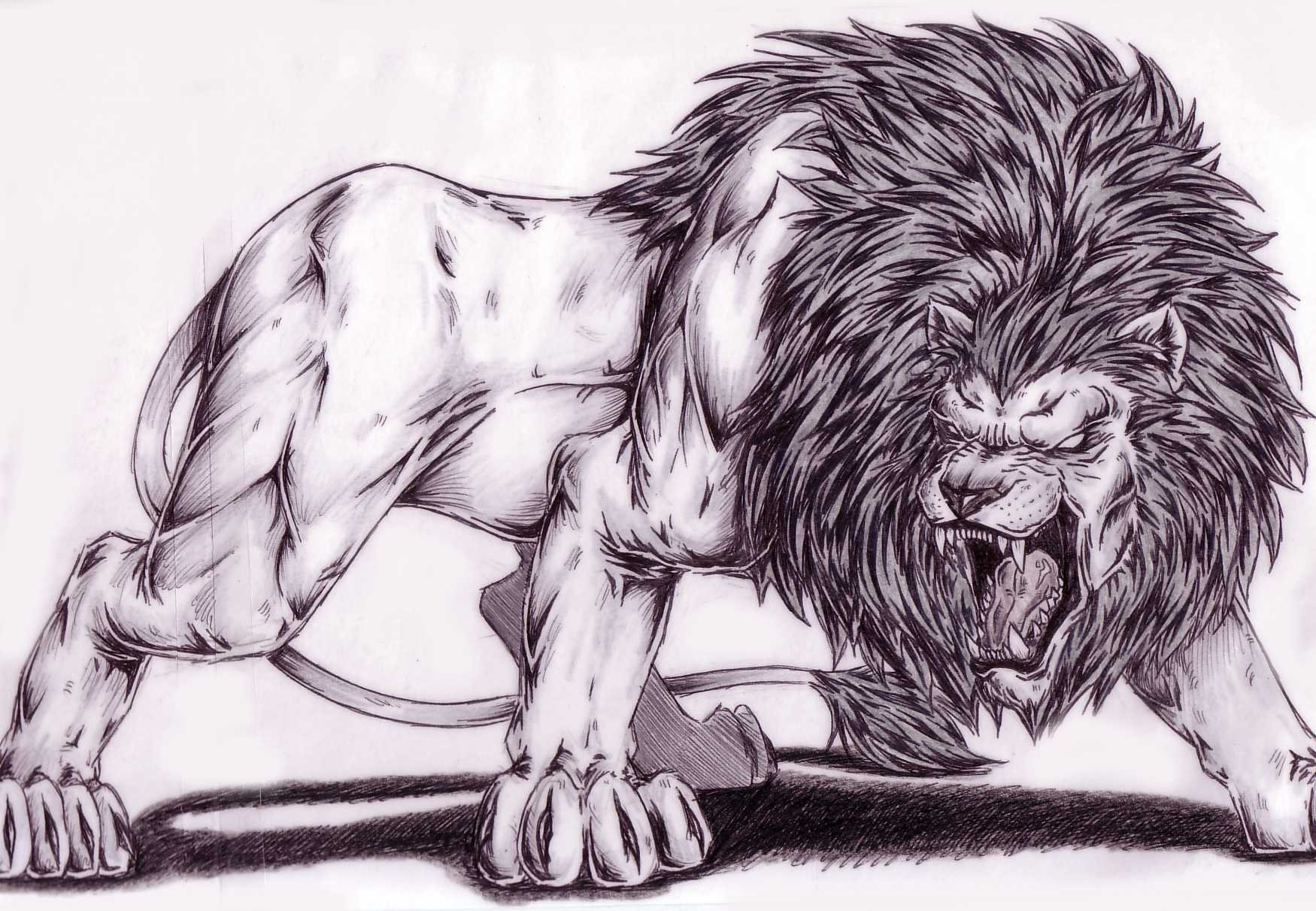 1750x1212 How To Draw Angry Lion - Angry Lion Drawing