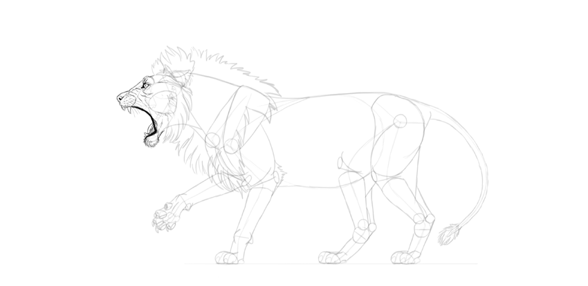 850x414 How To Draw A Roaring Lion Step - Angry Lion Drawing