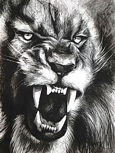 225x300 Lion Mane Drawings Fine Art America - Angry Lion Drawing