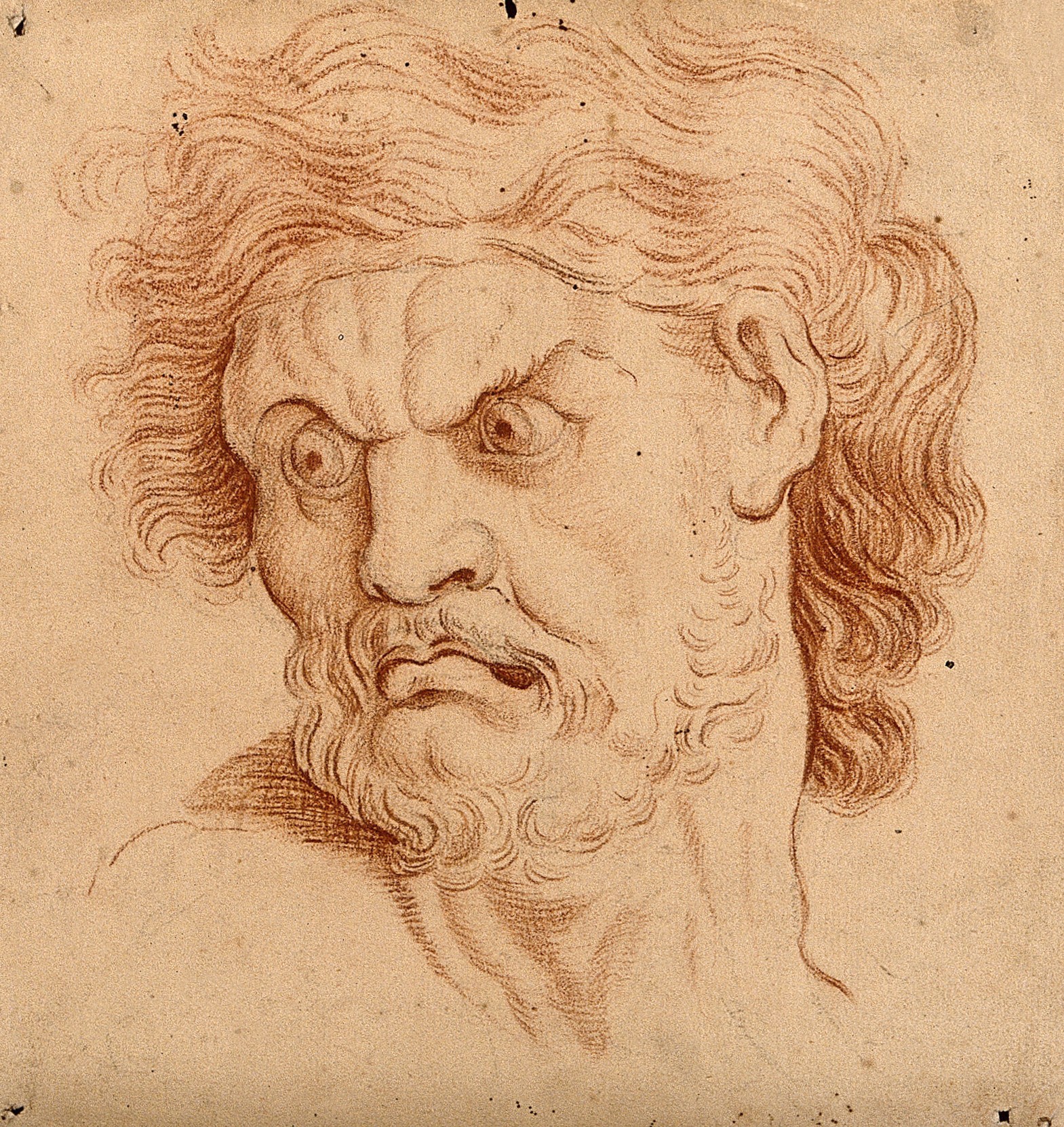 1569x1662 The Face Of An Angry Man Drawing, Century - Angry Man Drawing