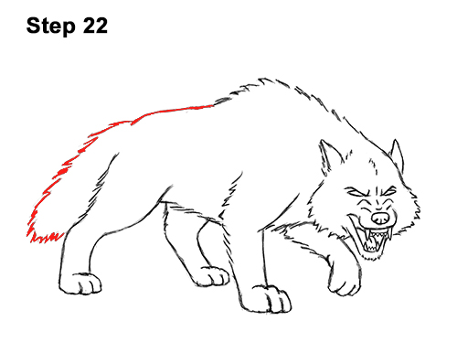 500x386 how to draw a wolf growling - Angry Wolf Drawing