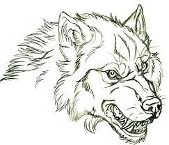 243x208 image result for angry wolf drawing ski topsheet wolf face - Angry Wolf Drawing