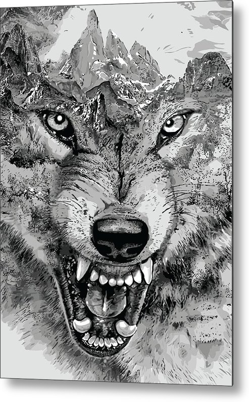 493x796 Angry Wolf Metal Print - Angry Wolf Drawing