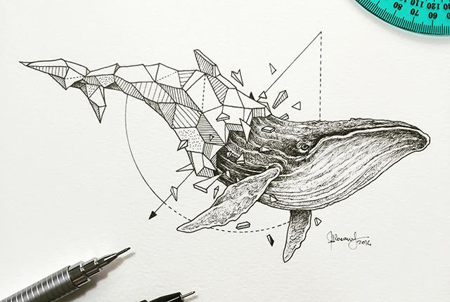 640x430 Artist Pairs Wildlife With Geometry To Create Stunning, Lively - Animal Art Drawing
