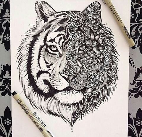 480x465 Image About Art In Dibujos - Animal Art Drawing
